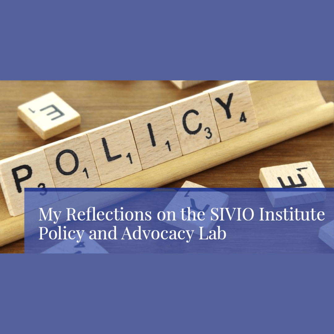 My Reflections on the Policy and Advocacy Lab