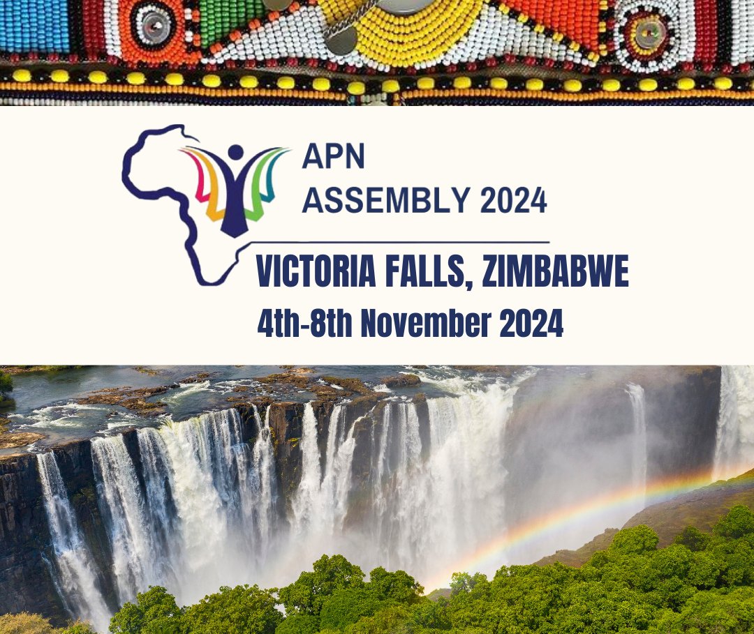 Our Team is part of the APN Assembly 2024