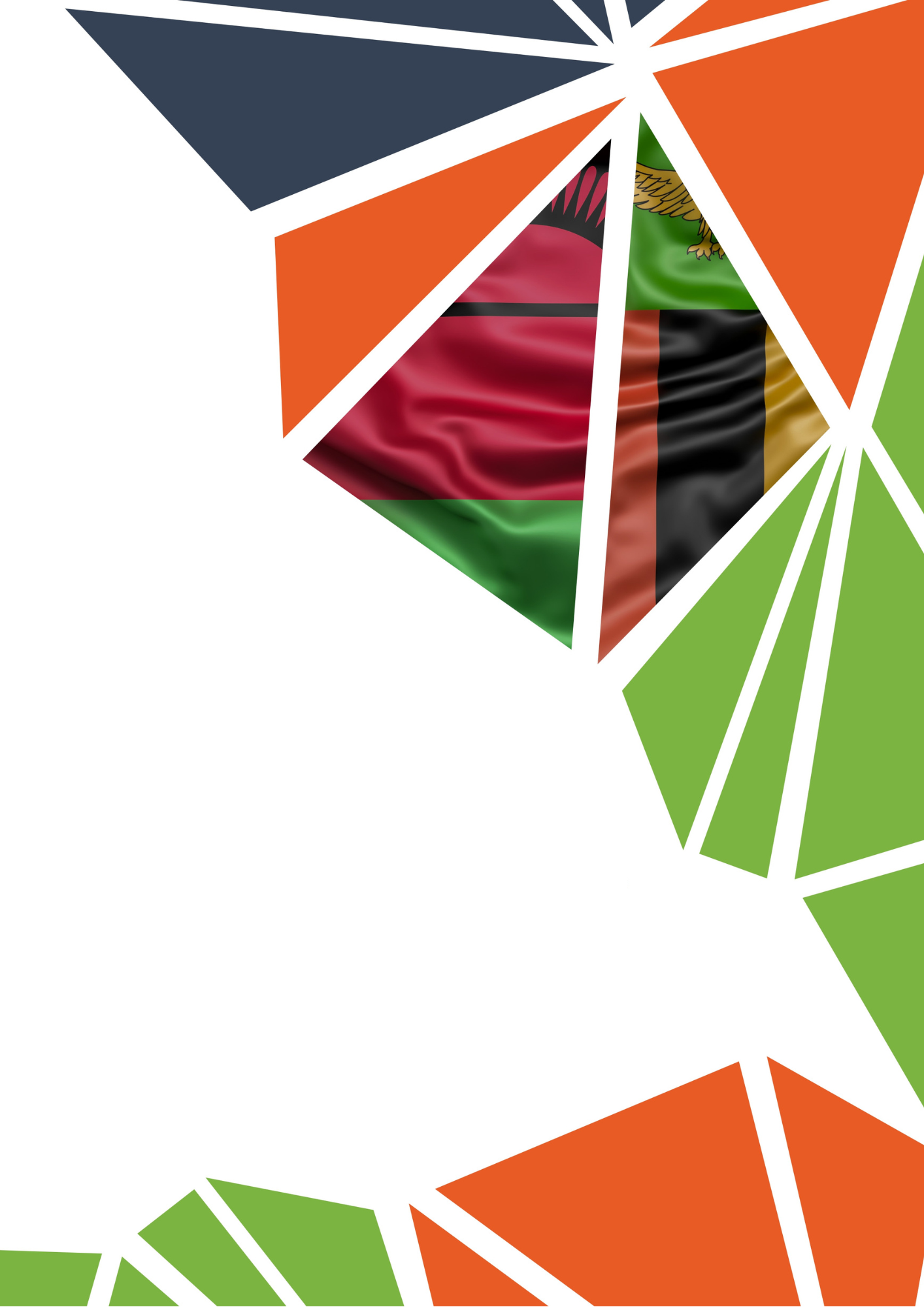 The Electoral Promises and Government Performance Nexus